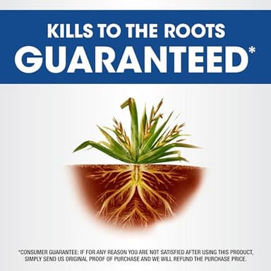 Roundup Weed & Grass Killer₄ Concentrate, Use in and Around Flower Beds, Walkways and Other Areas of Your Yard, 1 gal. - Image 5