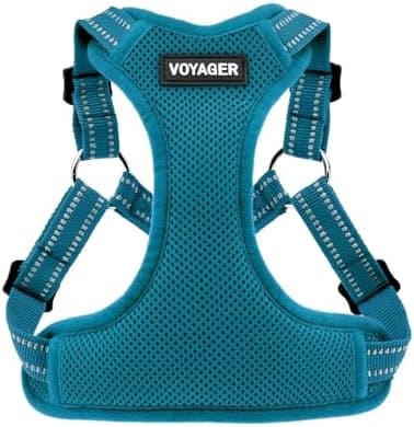 Best Pet Supplies Voyager Mesh Dog Breathable Harness Reflective Stitching, All Weather Adjustable for Walking Training, or Running - Heavy Duty & Durable, Harness (Turquoise), L - Image 3