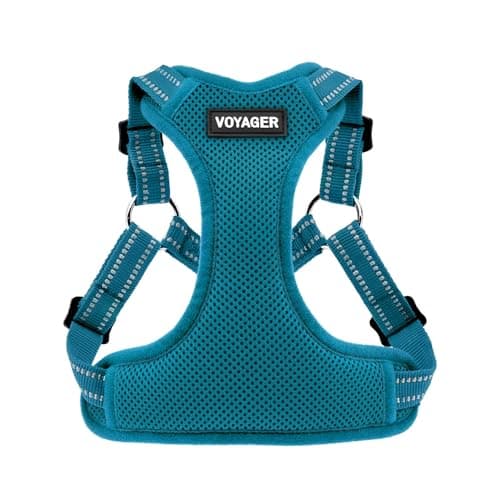Best Pet Supplies Voyager Mesh Dog Breathable Harness Reflective Stitching, All Weather Adjustable for Walking Training, or Running - Heavy Duty & Durable, Harness (Turquoise), S - Image 1