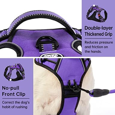 IVY&LANE No Pull Dog Harness for Large Dogs, Dog Vest Harness with Leash, Safety Belt and Storage Strap, Fully Adjustable Harness, 360° Reflective Strip, Soft Handle (Purple, L) - Image 5