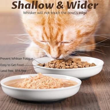 No Spill Cat Bowls,Cat Food Bowl,Anti Whisker Fatigue Healthy Ceramic Cats Dishes Set for Indoor Cats,Shallow Wide Kitten Plates for Food and Water,Non-Slip Silicone Bottom,3 Pack - Image 7