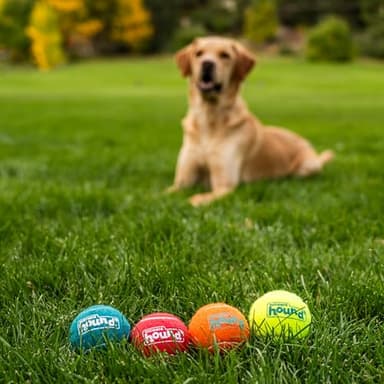 Outward Hound Squeaker Ballz 4-Pack Tennis Ball Dog Toys with Squeaker, Interactive Fetch Play for Pets Under 50 lbs, Training Balls for Indoor & Outdoor Exercise, Medium, 2.5-inch - Image 6
