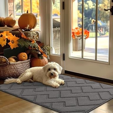 hicorfe Indoor Door Mat,Non Slip Door Mats,32"x48" Front Back Door Mat Rubber Backing,Absorbent Resist Dirt Entrance Inside Floor Mats for Entryway Washable Low-Profile(Grey) - Image 1