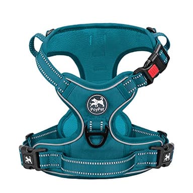PoyPet No Pull Dog Harness, No Choke Reflective Dog Vest, Adjustable Pet Harnesses with Easy Control Padded Handle for Small Medium Large Dogs(Tumalo Teal,L) - Image 1
