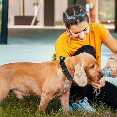 Tactical Dog Collar, Adjustable Nylon Dog Collar with Control Handle，Tactical Collar with Metal Buckle for Medium and Large Dogs(Green,L) - Image 2