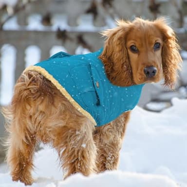 Queenmore Dog Winter Coat Warm Puffer Jacket Waterproof Plush Lining Thermal Cold Weather Vest for Small Medium Large Dogs, Windproof Easy On Pet Jacket Blue S - Image 7