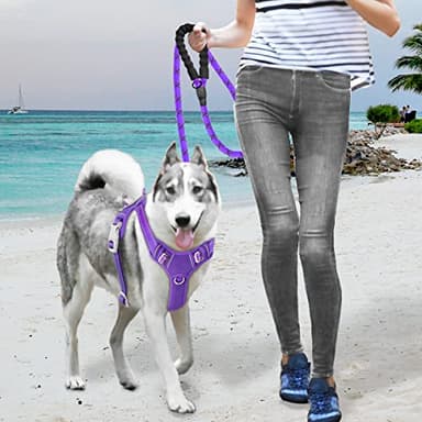 BARKBAY No Pull Dog Harness Large Reflective Dog Harness with Front Clip and Easy Control Handle for Walking Training Running with ID tag Pocket(Purple,XL) - Image 9