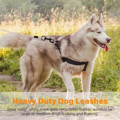 ZHOMA 5FT Heavy Duty Dog Leash for Large Dogs, Metal Chew Proof Dog Leash with Comfortable Leather Padded Handle, Stainless Steel Leash for Control Medium Small Dogs Training Walk Run -Silver(5FT) - Image 6