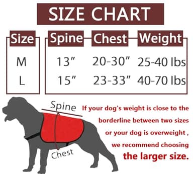 JXGZSO Please Don’t Pet I'm Shy Dog Jacket Vest Anxious Dogs Walking Slogan Warning Vest (Please -Im Shy L) - Image 2