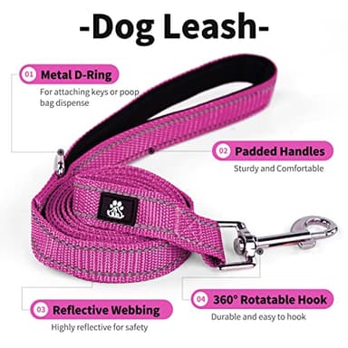 IVY&LANE Reflective Dog Collar and Leash Set,Adjustable Neoprene Padded Dog Collars, Breathable Nylon Pet Collar for Small Medium Large Dogs (Large,Fuchsia Pink) - Image 3