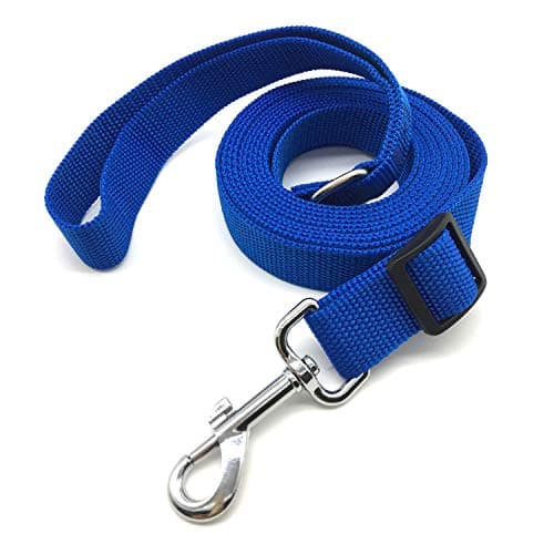 10FT Adjustable Dog Leash, Nylon Dog Leashes for Medium Large Dogs (Blue) - Image 1
