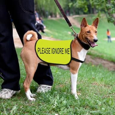 Working Dog Jacket Vest Please Ignore Me Alert Dog Slogan Vest Social Distancing Gift (Please Ignore Me-Medium) - Image 2