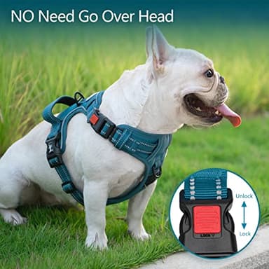 PoyPet No Pull Dog Harness, No Choke Reflective Dog Vest, Adjustable Pet Harnesses with Easy Control Padded Handle for Small Medium Large Dogs(Tumalo Teal,L) - Image 2