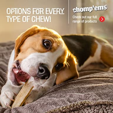 Chomp’ems Premium Beefhide Chews for Dogs, 2 Chews - Image 8