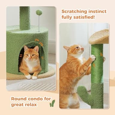 PAWZ Road Cactus Cat Tree Small Cat Tower 32” Cat Scratching Post with Curved Perch, Cozy Cat Condo, Removable Padded Top Bed for Kittens and Indoor Cats-Green - Image 2