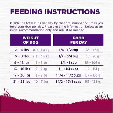 Wellness Complete Health Small Breed Dry Dog Food with Grains, Natural Ingredients, Made in USA with Real Turkey, For Dogs Up to 25 lbs, (Adult, Turkey & Oatmeal, 4-Pound Bag) - Image 8