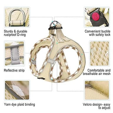 haapaw Dog Harness with Leash Set, No Pull Adjustable Reflective Step-in Puppy Harness with Thickened Padded Vest for Extra-Small/Small Medium Dogs - Image 2