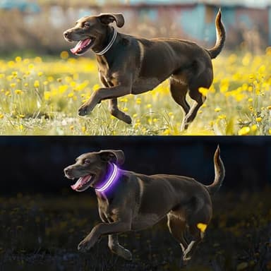 Light Up Dog Collar Rechargable,Reflective LED Collars for Small Medium Large Dogs,Lighted Dog Collars Lights for Night Walking-Waterproof,Black,S - Image 5
