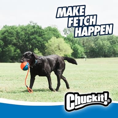 Chuckit! Rope Fetch Dog Toy - Ball on Rope Fetch and Tug-of-War Toy for Dogs - Durable EVA Rubber Construction - 5.5-inch Diameter - 18-inch Rope - Orange and Blue - Image 7