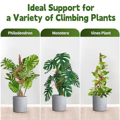 Yeatruojeet Moss Pole, 45 Inch Monstera Plant Support, Moss Poles for Plants Indoor, Bendable Plant Stake Trellis for Climbing Plant, Pothos, Philodendron (2) - Image 6
