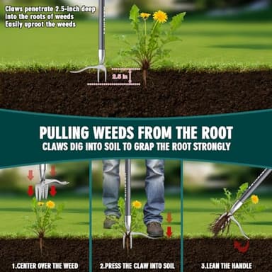 SOMOLUX 52'' Weed Puller Tool Stand-up Weeder with Metal Long Handle/Stainless Steel Claw, Gardening Manual Tool Weed Gripper/Picker/Remover No Bending/Kneeling to Remove Dandelion Form Lawn Patio - Image 3