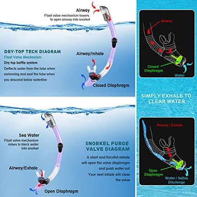 ZEEPORTE Mask Fin Snorkel Set with Adult Snorkeling Gear, Panoramic View Diving Mask, Trek Fin, Dry Top Snorkel +Travel Bags, Snorkel for Lap Swimming - Image 4