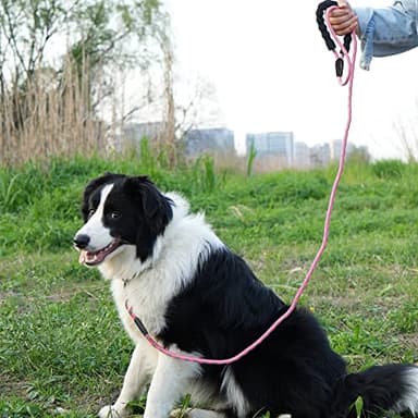 NTR Long Dog Leash, 30FT Check Cord with Swivel Lockable Hook and Comfortable Padded Handle for Pink Leash for Small Medium and Large Dogs Walking Training Hiking Camping Playing - Image 7