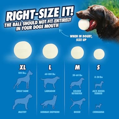 Chuckit! Glow in the Dark Bouncy Ball for Dogs, Chuckit Dog Toy, Max Glow Balls - Large, 3 Inch, Pack of 1 - Image 7