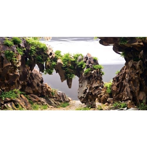 AWERT 24x12 inches Viewing Stone Fish Tank Background Aquatic Plant River Bed & Lake Aquarium Background Seaweed Aquarium Vinyl Background - Image 1