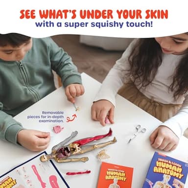 Dan&Darci Human Anatomy Squishy Body Model - Science Kits for Kids Ages 4-8 - STEM Toys for 4 5 6 7 8 Year Old Boy Birthday Gift - Learning Educational Toys for Ages 5-7 Boys Gifts - Skeleton Parts - Image 3