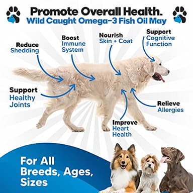 Omega 3 Fish Oil for Dogs - Better Than Salmon Oil - Dog Fish Oil Supplement to Reduce Shedding & Itching - Supports Joints, Brain, and Heart Health - Skin and Coat Supplement - Liquid Fish Oil - Image 2