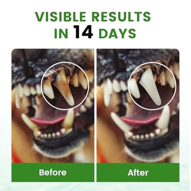 Dog Breath Freshener – Enzymatic Dog Dental Water Additive for Teeth Claning – Freshens Breath & Reduces Tartar – Easy Mouthwash Cleaner for Teeth & Gums – No Brushing Needed, Uncented, 16oz - Image 5