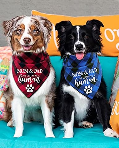 YHTWIN My Parents are Getting me a Human, Gender Reveal Photo Prop Pet Scarf Accessories,Plaid Dog Bandana,Pack of 2 - Image 2