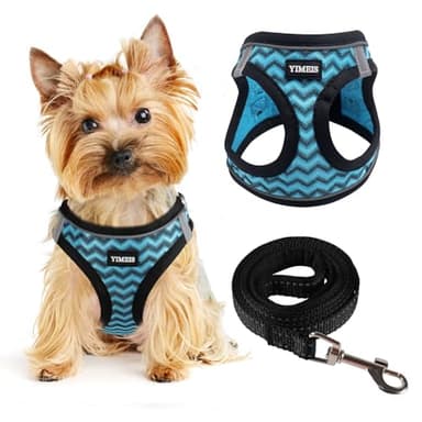 YIMEIS Dog Harness (XS, Blue) for Small Dogs, Lightweight Harness & Leash Set, Adjustable, Reflective, Breathable, 360°Visibility, Playful Style - Image 1