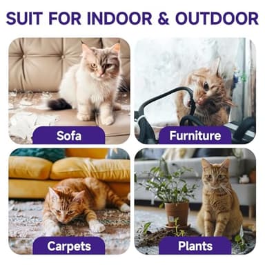 WEALLIN Cat Deterrent Spray, 6.76 FL Oz Natural Cat Repellent Spray Indoor & Outdoor, Anti-Scratch Training Aid for Furniture, Sofas, Rugs, Curtains, Plants - Non-Toxic, Alcohol-Free Formula - Image 4