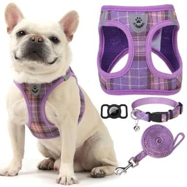 EXPAWLORER Classic Plaid Puppy Harness - Small Dog Harness and Leash Set - Dog Collar and Leash Set with AirTag Holder, Soft Padded Step in Dog Vest Harness No Pull Reflective for Outdoor, Purple M - Image 1