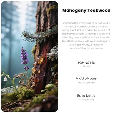 Car Air Freshener Hanging Diffuser – Long-Lasting Essential Oil Scent (Up to 60 Days) – Non-Toxic & Eco-Friendly – 2-Pack Auto Fresheners Made in USA - Image 2