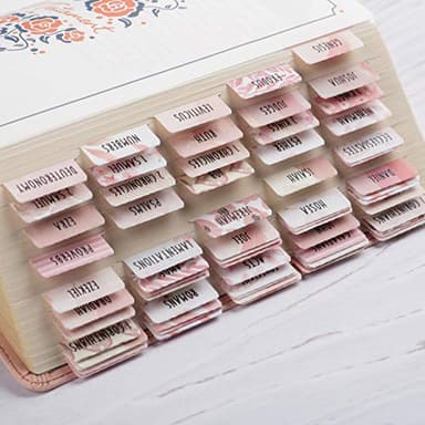 DiverseBee Laminated Bible Tabs for Women (Large Print, Easy to Read), Colorful Bible Journaling Book Tabs, Christian Gift, 66 Bible Tabs Old and New Testament, Includes 11 Blank Tabs - Rose Theme - Image 2