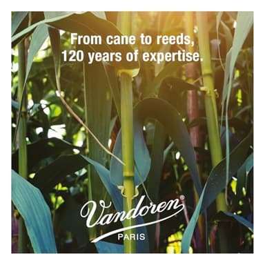 Vandoren CR103 Bb Clarinet Traditional Reeds Strength 3; Box of 10 - Image 6