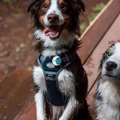 AUROTH Tactical Dog Harness for Small Medium Large Dogs No Pull Adjustable Pet Harness Reflective K9 Working Training Easy Control Pet Vest Military Service Dog Harnesses (M, Denim Blue) - Image 6