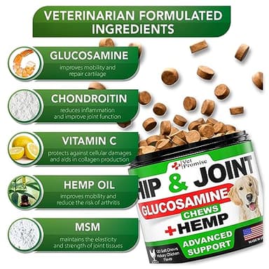 Vet Promise Hemp Hip and Joint Support Supplement for Dogs - Glucosamine for Dogs - Hemp Oil, MSM, Chondroitin - Support for Joint Pain Relief and Health - 120 Soft Chews - Made in USA - Image 3