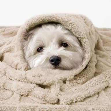 Luciphia Small Dog Blanket Washable Pet Bed Cover Soft Fluffy Puppy Blanket with Premium Fleece 300GSM Cozy Calming Cat Blankets for Indoor Cats Beige 30x20 inch - Image 6