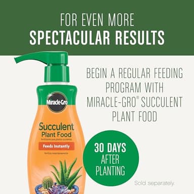 Miracle-Gro Succulent Potting Mix, For Indoor Succulents, Aloe Vera and More, Made with Miracle-Gro Plant Food, 4 qt - Image 9