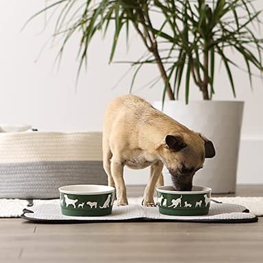 Bone Dry Dog Bone Ceramic Pet Bowl & Canister, Small, 4.25x2, Hunter Green, 2 Count - Image 4