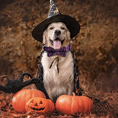 TDTOK Halloween Dog Collar with Bowtie Adjustable Halloween Spooky Dog Collar with Eco Friendly Plastic Buckle Spooky Skull Bat Tree Moon Pumpkin Dog Collar for Small Medium Large Dogs - Image 2