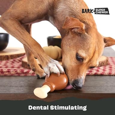 Barkbox Super Chewer Tough Dog Chew Toys for Aggressive Chewers, Dental Stimulating (Turkey - Small) - Image 5