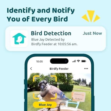NETVUE by Birdfy Smart Bird Feeder with Camera, Bird Watching Camera, Auto Capture Motion Videos & Instant Notifications, Wireless Camera for Outdoor, Ideal Gift for Backyard Birder, Yellow - Image 2