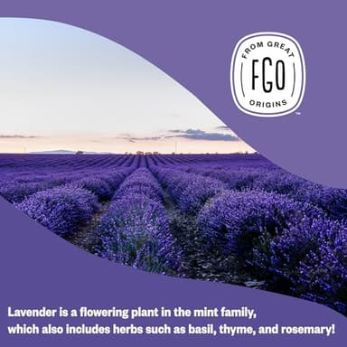 FGO Organic Dried Lavender Flowers, Extra Grade Dried Buds, Imported From France for Culinary or Sachet Bags, 4oz, Packaging May Vary (Pack of 1) - Image 6