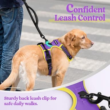 rabbitgoo Dog Harness No Pull with 2 Leash Clips, Adjustable Soft Padded, Reflective Oxford No Choke Pet Vest with Easy Control Handle for Large Dogs, Purple & Yellow, XL - Image 6