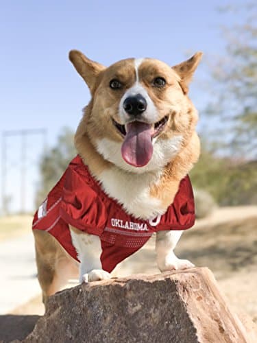 NCAA College Oklahoma Sooners Mesh Jersey for Dogs & Cats, XXX-Large. Licensed Big Dog Jersey with Your Favorite Football/Basketball College Team - Image 3